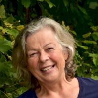 Dr. M. Kohlmann